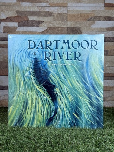 Dartmoor river robin - river,