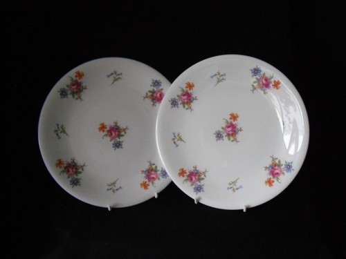 Shelley 2326 fine bone - x,