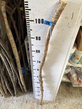 HAZEL SHANK WALKING STICk