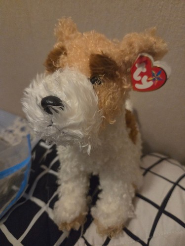 Beanie buddy corkie - ty,