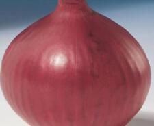 Vegetable - Onion - Red Baron - 200 Seeds