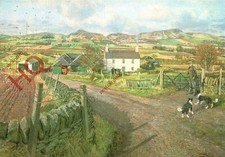 Postcard: James Mcintosh Patrick, Sidlaw Vista from North Auchray [Medici]