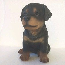 Rottweiler Puppy Dog -