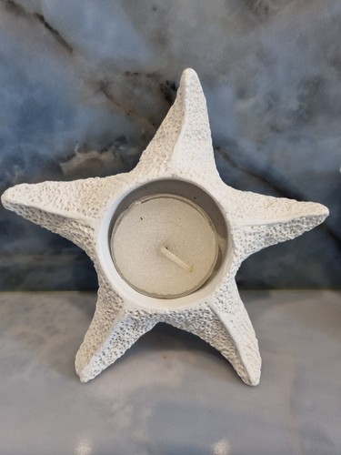 Set coastal starfish - of, 3