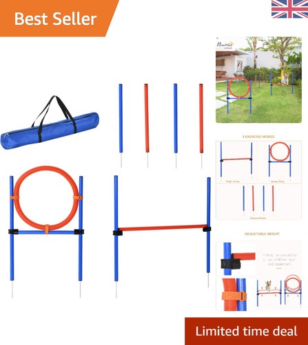 Portable pet agility training - agility,