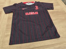 Liverpool FC Nike X LeBron