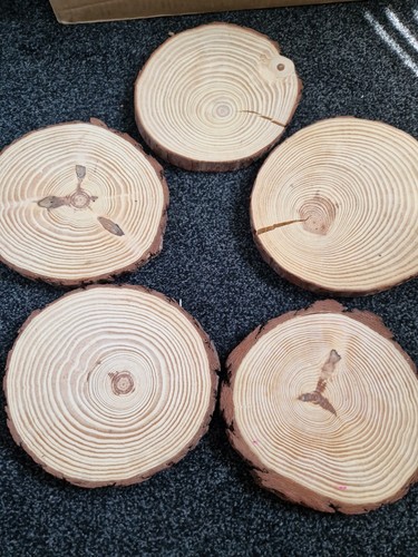 Wooden tree trunk slices - tree,
