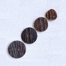 Antler Horn Buttons 2 Hole