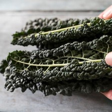 Black Tuscany Cavolo Nero