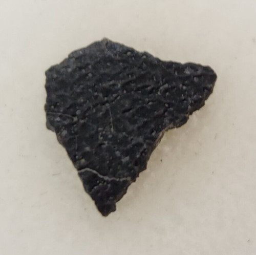 Hadrosaur egg shell fossil - egg,