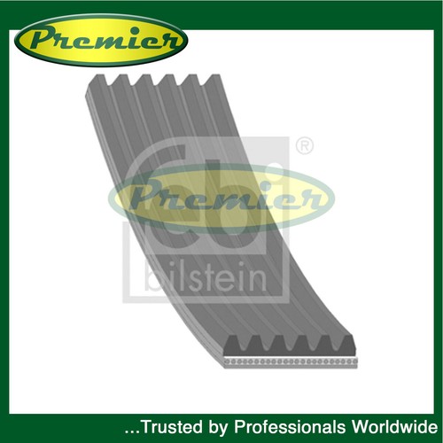 Premier alternator belt fits - belt,