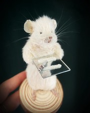 Naughty little taxidermy mouse - naughty,