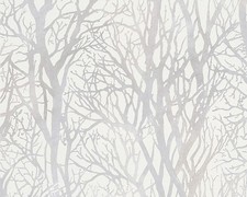 WHITE WOODLAND TREES FOREST