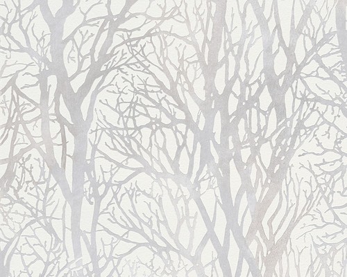 White woodland trees - woodland,