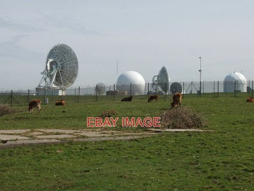 Photo cattle gchq radio - cattle,