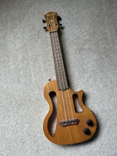 Electric ukulele concert - ukulele.,