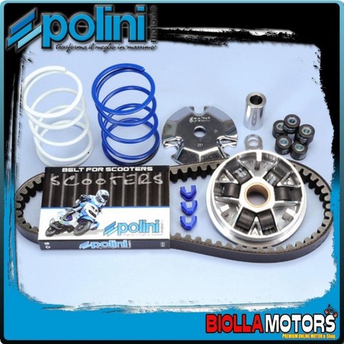241 510 polini variator - 241.510.1, kit