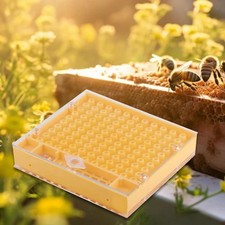 Queen Rearing Box Easy to Use