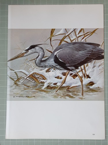 Basil ede bird print grey - ede,