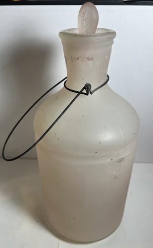 Vintage frosted glass insect - glass,