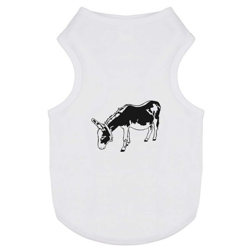 Grazing donkey pet - pet, cat