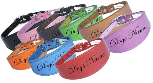 Dog collar with name - with,