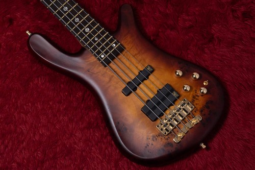 Warwick teambuilt proseries - warwick,