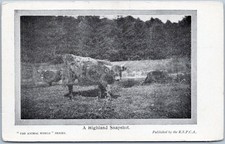 Vintage RSPCA "The Animal