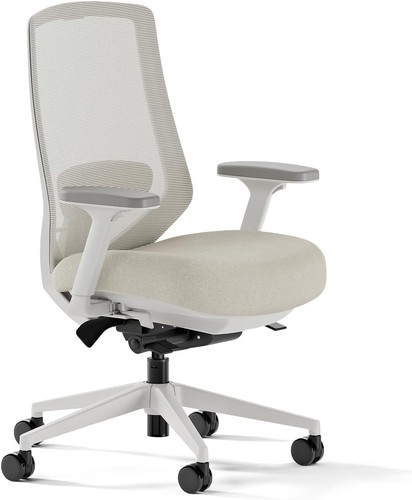 Ergonomic chair pro - pro, mesh
