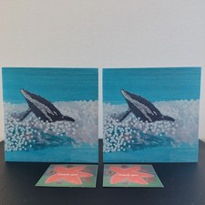 Atlantic bottlenose dolphin -