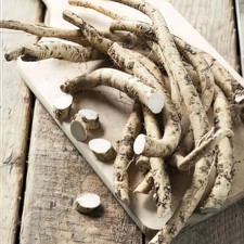 Horseradish 'Vitara'. 2L