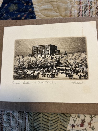 Norwich castle cattle - “norwich, &