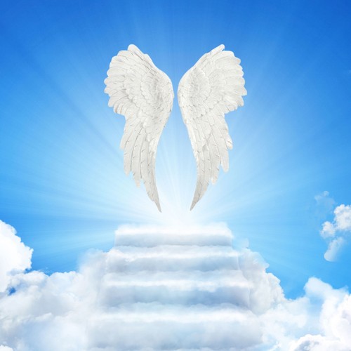 Glitter angel wings large pair - angel,