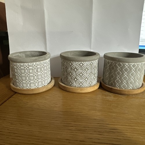 Set cement succulent pots - succulent,