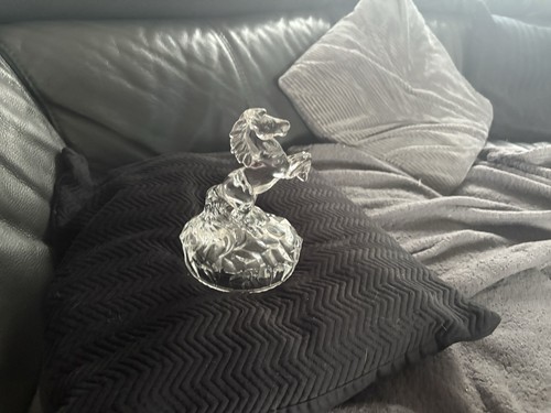 Large blown glass - glass, horse