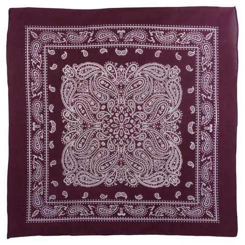 Montana paisley bandana - paisley,