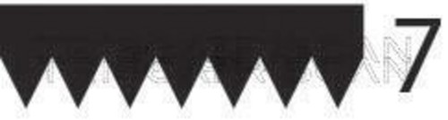 Ribbed belt black triscan - v-ribbed,