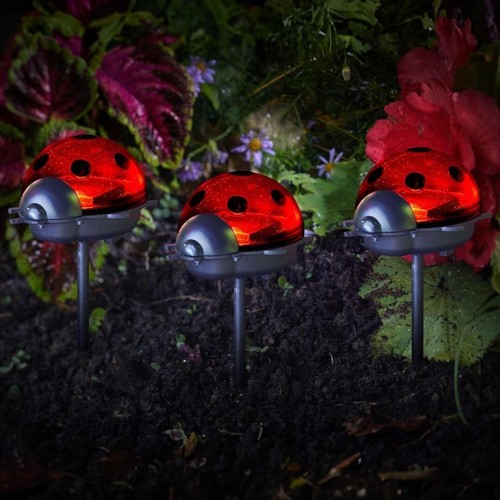 Solar powered ladybird - solar,