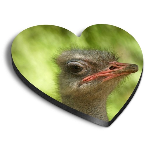 Heart fridge mdf magnet - heart,