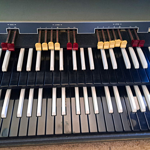 Vox continental vintage - vox,