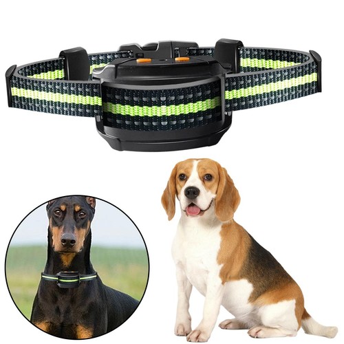 Anti bark electric - shock, dog