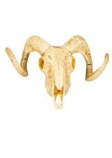 Western Party Animal Ram Skull with Horns Decoration Wild West Plastic Prop 36cm