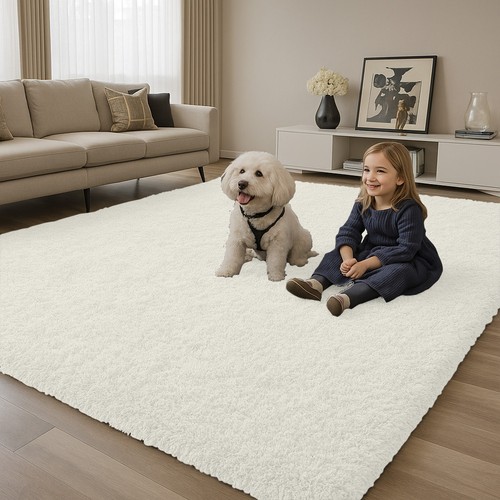 Fluffy rugs large shaggy - rugs,