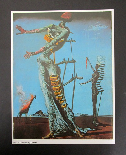 Salvador dali 10 40 - 8.00", x