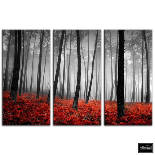 Stunning forest landscapes - stunning,