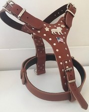 AMERICAN BULLDOG HARNESS -