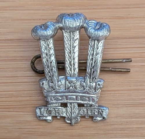Welsh brigade anodised - welsh,