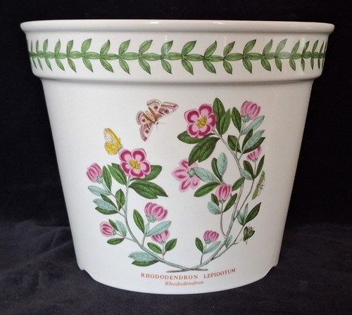 Large portmeirion plant - portmeirion,