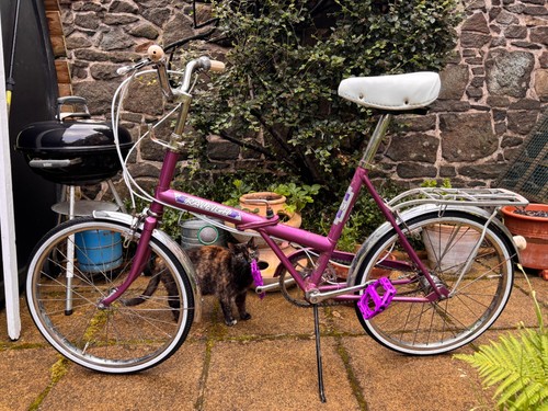 Vintage classic raleigh - vintage,