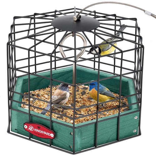 Squirrel proof ground - proof, bird